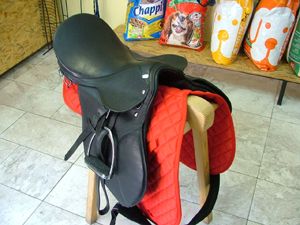 dscf5904.jpg